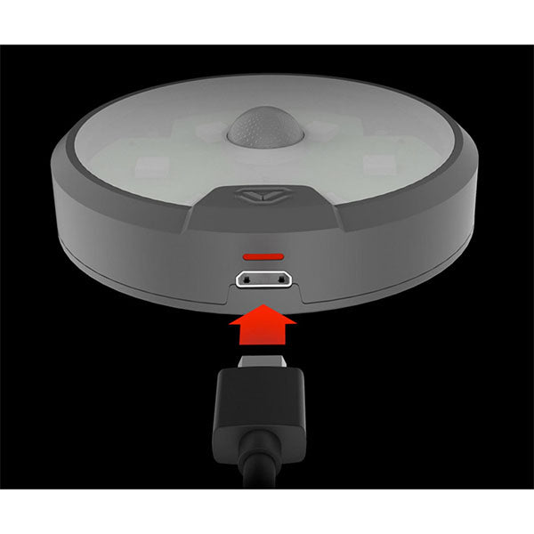 LED Light