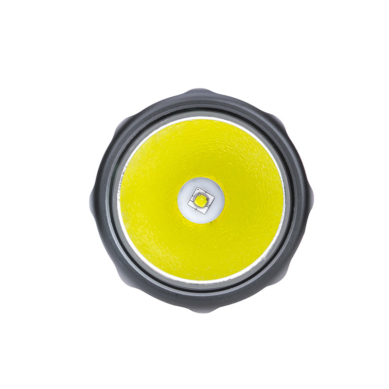 C2 250 Lumen 2AA Flashlight